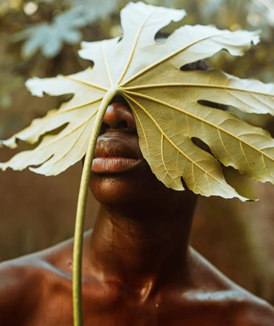 Vital Adi — Photographe à Paris